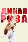 Постер Дикая роза (1987)