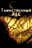 Постер Таинственный лес (2023)