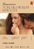 Постер Ускользающая красота (1996)