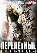 Постер Перелётные птицы (2014)