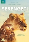 Постер Серенгети (2019)