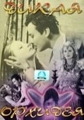 Постер Дикие орхидеи (1929)