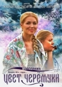 Постер Цвет черемухи (2012)