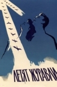 Постер Летят журавли (1957)