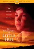 Постер Приключения маленького индейца (1997)