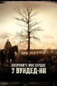 Постер Схороните моё сердце у Вундед-Ни (2007)