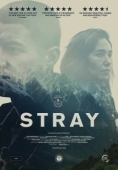 Постер Заблудшие (2018)