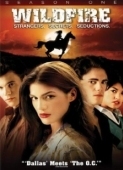 Постер Дикий огонь (2005)
