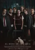 Постер Дыра в заборе (2021)