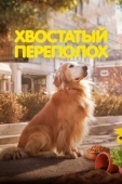 Постер Хвостатый переполох (2024)