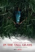 Постер Высокая зелёная трава (2019)