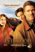 Постер Любовь вдовца (2002)