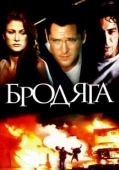 Постер Бродяга (1951)