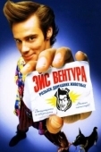 Постер Эйс Вентура: Розыск домашних животных (1995)