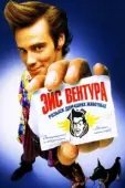 Постер Эйс Вентура: Розыск домашних животных (1995)