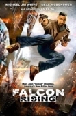 Постер Восхождение Сокола (2013)