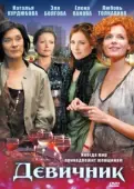 Постер Девичник (2009)