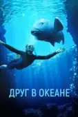 Постер Друг в океане (2023)