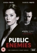 Постер Враги общества (2012)