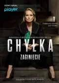 Постер Дела адвоката Хилки: Исчезновение (2018)