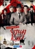 Постер Чёрная кошка (2016)