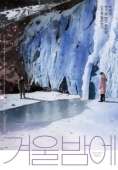 Постер Зимней ночью (2018)