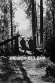 Постер Мешок без дна (2017)