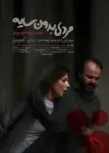 Постер Человек без тени (2019)