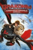 Постер Драконы: Гонки бесстрашных. Начало (2014)