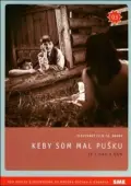 Постер Если бы у меня было ружье (1971)