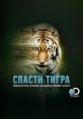 Постер Спасти тигра (2019)