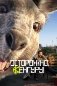 Постер Осторожно, кенгуру! (2022)