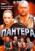 Постер Пантера (2007)