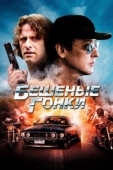 Постер Бешеные гонки (2013)