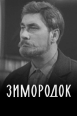 Постер Зимородок (2022)
