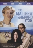 Постер История Мэттью Шепарда (2002)