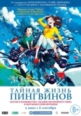 Постер Тайная жизнь пингвинов (2018)