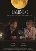 Постер Фламинго (2020)