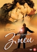 Постер Воздушные змеи (2010)