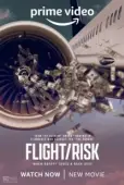 Постер Полёт/риск (2022)