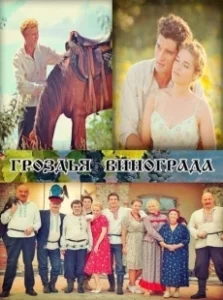 Постер Гроздья винограда 