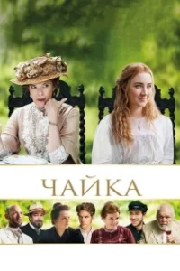 Постер Чайка