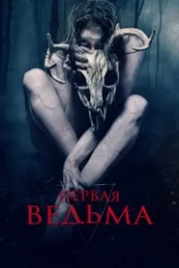 Постер Первая ведьма (The Wretched)