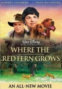Постер Цветок Красного папоротника (Where The Red Fern Grows)