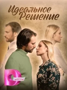 Постер Идеальное решение 