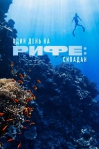 Постер Один день на рифе: Сипадан (A Day on the Reef: Sipadan)