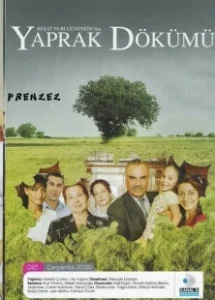 Постер Листопад (Yaprak Dökümü)