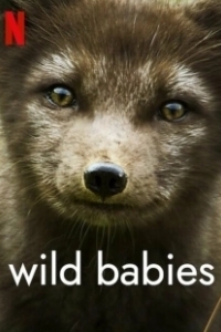 Постер Детки не в клетке (Wild Babies)