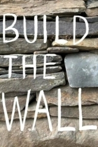 Постер Построить стену (Build the Wall)