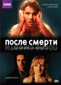 Постер После смерти (Afterlife)